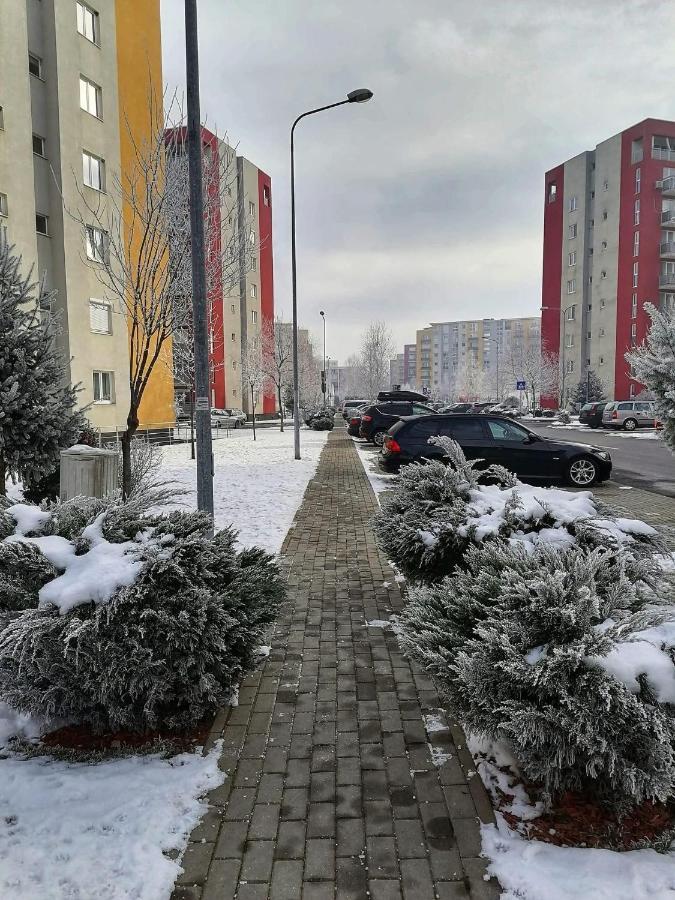 Apartament